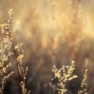 奶大水多日起爽

